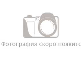 06 этаж - 244.3 м<sup>2</sup>